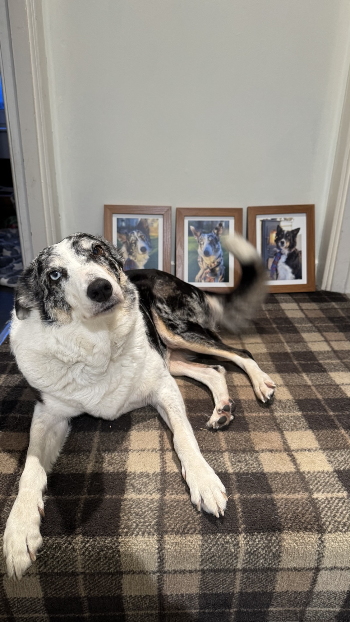 Day 2117 it’s so&nbsp;late!!