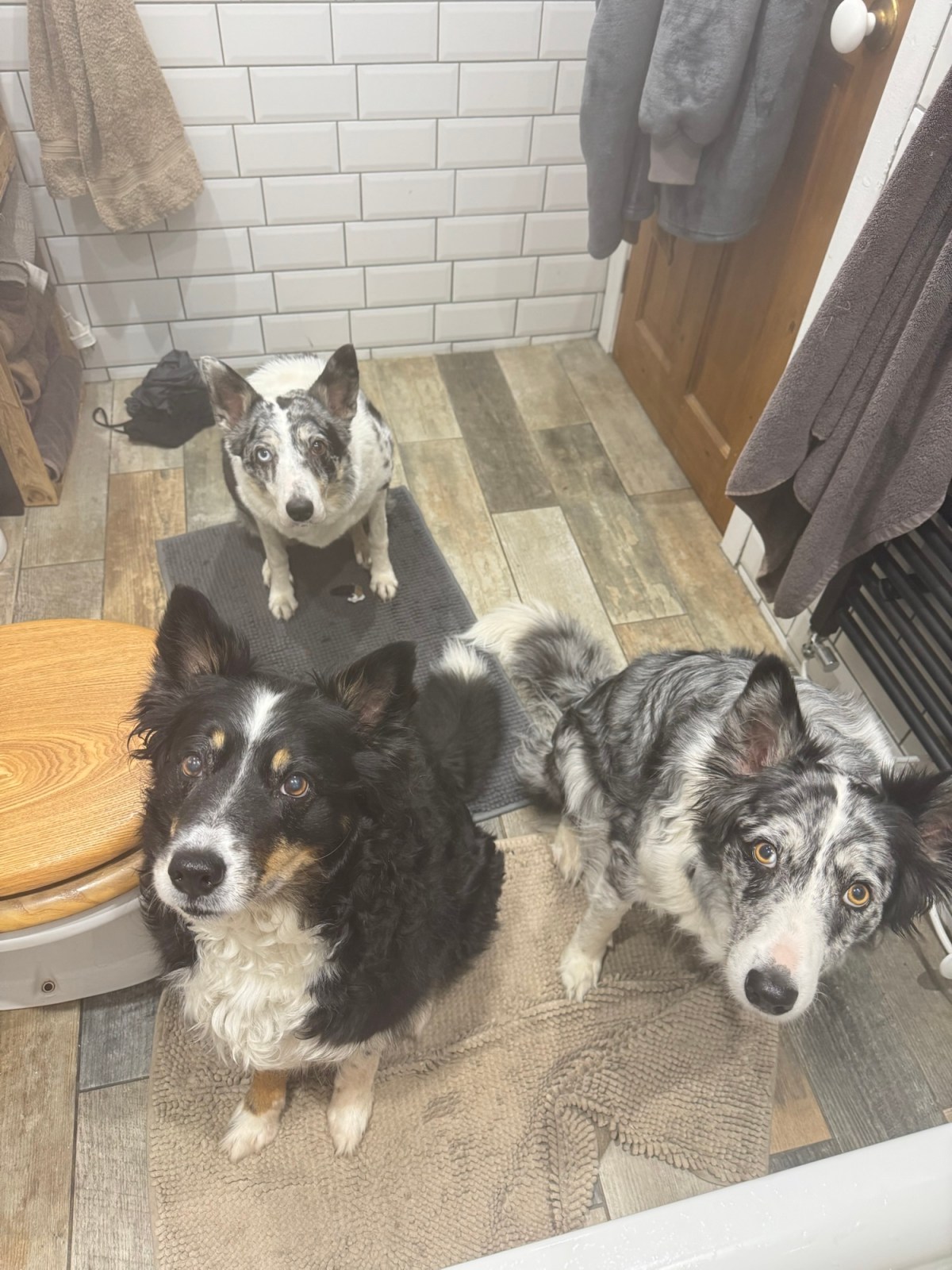 Day 2129 a very busy day at&nbsp;work!