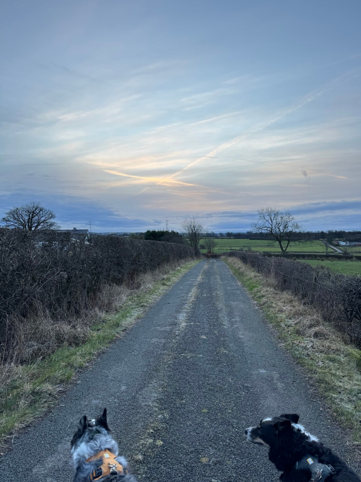 Day 2132 Mum had to turn back due to heavy snow so a change of&nbsp;plans!