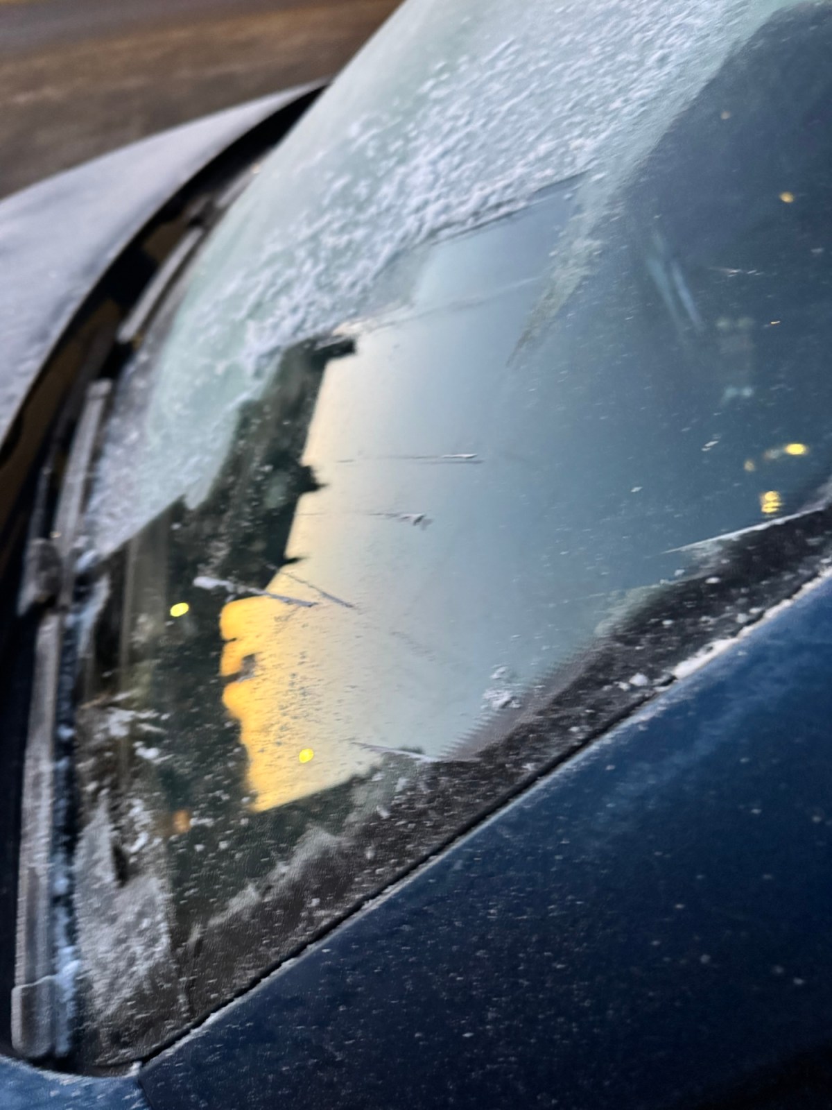 Day 2136 the year of the Fire Horse&nbsp;🔥🐎